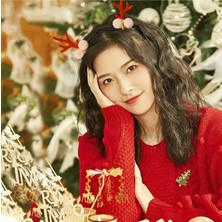 Steelva 2 Adet Noel Saç Tokası