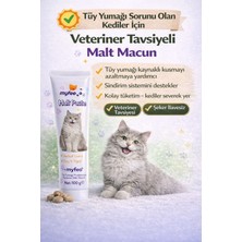 My Feo Şeker İlavesiz Kedi Maltı 100 gr Tüy Yumağı Önleyici Macun Yetişkin ve Yavru Kediler İçin