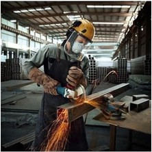 Professional Gws 12-125