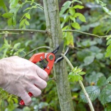 J469-22 Budama Makası, 220 mm Komple Uzunluk, 25MM Dal Kesme Çapı