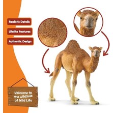 Schleich 14832 Hörgüçlü Deve Oyuncak Figürü, Çok Renkli