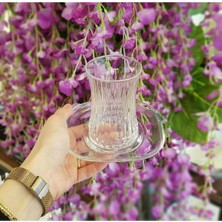 Elta Collection 6 Kişilik 12 Parça Elysia Çay Seti Takımı