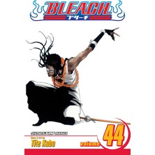 Storemax Bleach, Vol. 44: Vice It: Volume 44