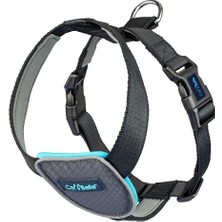 Köpek Harness Araba Seyahat Göğüs Tasması, Medium Siyah