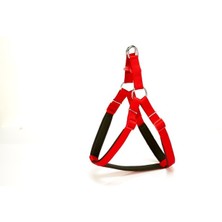 Bilfold Köpek Bel Tasması 70CM Large Kırmızı