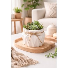 Akanart Dekoratif Beton Saksı ve Kase Seti