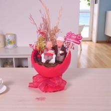 Nadire Tasarım Kırmızı  Saksıda Bir Ömür Boyu Teraryum