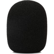 Ws2 Stüdyo Aksesuarı