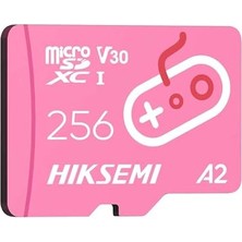 Hıksemı Tf-G2 City Fun Micro , 256 GB