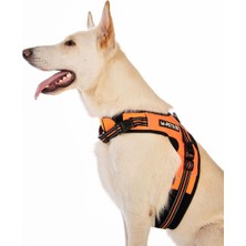 Hıkıng Reflektörlü Soft Göğüs Tasması Orange (S)