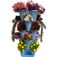 5 Katlı Şanslı Yonca Kule Saksı Seti Çiçek Bitki Sebze Meyve Salon Mutfak Banyo Bahçe Saksı Seti (Aç