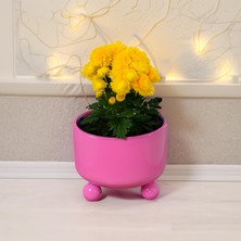 Metal Çiçek Bitki Saksısı Dekoratif Saksı Geri Dönüşümden Imal Saksı