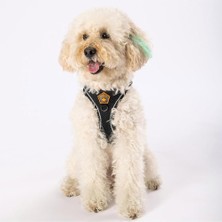 Pawstar Siyah Air-Mesh Göğüs Tasması Kedi Köpek Göğüs Tasması Siyah 3xs