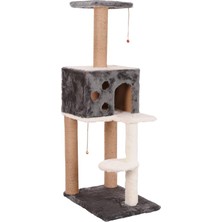 Kedi Tırmalama, Nemrut, Gri