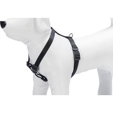 Basıc Göğüs Tasma M 45-70CM Siyah