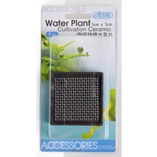 Ista Bitki Taban Seramik 5 cm Kare