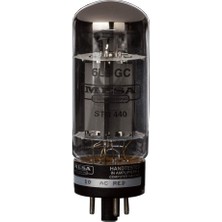 Mesa/boogie 750881D Russian Amfi Lambası