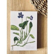 Kapaklı A5 Çizgisiz Not Defteri - 180 Derece Açılabilir, Sırtı DIKIŞLI,%100 El Işçiliği, Ofis Için I