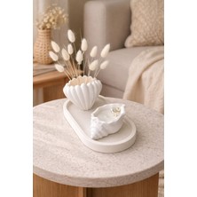 Akanart Deniz Kabuğu Obje Seti – Doğal Mum ve Vazo