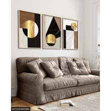 Evine Moda Gold Soyut Desenlerin 3 Parça Ahşap Çerçeveli Tablo Act