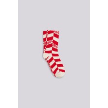 Beverly Hills Polo Club Bg Store Erkek Çocuk Desenli Çorap