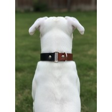 Balkonda Köpek Boyun Tasması Ayarlanabilir Büyük Irk 2,5 cm Genişlik Deri