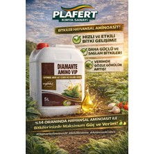 Hayvansal Amino Asit