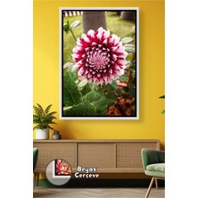 KOSS Dijital Katmerli Dahlia Çiçeği Canlı Ev Dekorasyonu Bahçe Esintili Duvar Tasarımı Çerçeveli Kanvas Tablo