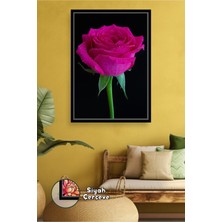 KOSS Dijital Fuşya Gül Çiçekli Salon Tablosu Modern Yatak Odası ve Oturma Odası Için Çerçeveli Kanvas Tablo