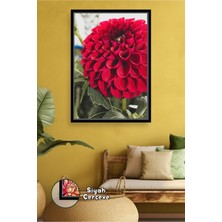 KOSS Dijital Kırmızı Dahlia Çiçeği Yakın Çekim Detaylı Canlı Renkli Doğal Çiçek Fotoğrafı Çerçeveli Kanvas Tablo