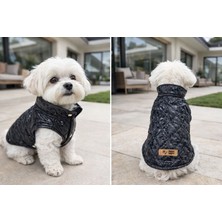 Siyah Önden Çıtçıt Kapamalı Köpek Montu