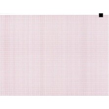 Ge Mac 1200 Ekg Kağıd 2'li Paket