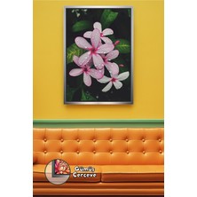 KOSS Dijital Pembe Çiçek ve Su Damlası Detaylı Ev Dekorasyonu Için Ferah ve Şık Tasarım Çerçeveli Kanvas Tablo