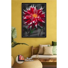 KOSS Dijital Kırmızı Dahlia Çiçeği Dekoratif Tablo Şık Ev Aksesuarı Salon ve Ofis Için Çerçeveli Kanvas Tablo