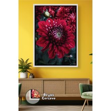 KOSS Dijital Bordo Krizantem Çiçeği Şık Dekor Tablo Koyu Ton Sevenler Için Salon Odaklı Çerçeveli Kanvas Tablo