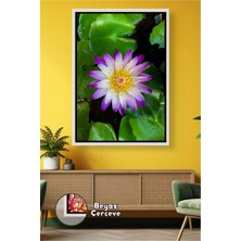 KOSS Dijital Mor ve Beyaz Nilüfer Çiçeğiyle Huzur Veren Salon ve Ofis Duvar Dekoru Çerçeveli Kanvas Tablo