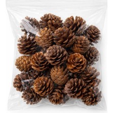 Toleys Doğal Çam Kozalağı 20 Adet