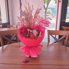 Nadire Tasarım Saksıda  Sırtsırdacanım Benim Teraryum