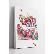 KOSS Dijital Renkli Çene ve Diş Yapısı Sanatsal Anatomi Tasarımı Diş Kliniği Için Dekoratif Kanvas Tablo