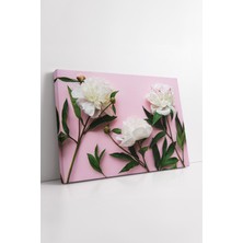 KOSS Dijital Beyaz Şakayık Çiçekleri Pembe Zemin Üzerinde Kanvas Tablo Minimal Romantik Modern Duvar Dekoru