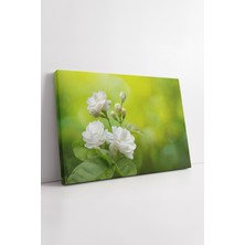 KOSS Dijital Beyaz Yasemin Çiçeği Doğal Yeşil Arka Plan Huzurlu Botanik Görsel Modern Dekoratif Kanvas Tablo