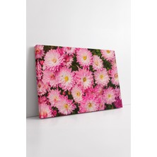 KOSS Dijital Pembe Krizantem Çiçekleri Yakın Plan Doğal Görünümlü Canlı Renkli Sanatsal Kanvas Tablo