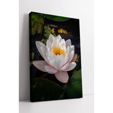 KOSS Dijital Beyaz Nilüfer Çiçeği Temalı Su Yüzeyinde Zarif Doğal Görünümlü Dekoratif Kanvas Tablo