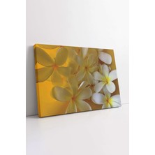 KOSS Dijital Hint Mabet Ağacı Beyaz Plumeria Çiçeği Dekoratif Yatay Kanvas Tablo, Ev Ofis Antre Salon Için Dekor