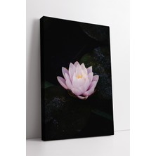 KOSS Dijital Zarif Nilüfer Çiçeği Su Yüzeyi Sanatı Doğal Sakinlik Temalı Estetik Dekoratif Kanvas Tablo