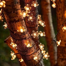 Katre46 Solar 5m 50 LED Papatya Gün Işığı 8 Fonksiyonlu