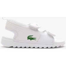 Lacoste Çocuk Mavi Terlik
