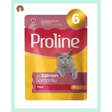 Proline Pouch Somonlu Yaş Kedi Maması Seti 6X85 gr