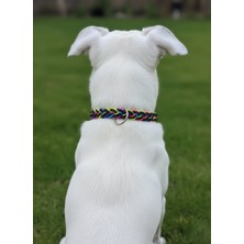 Balkonda Köpek Boyun Tasması Ayarlanabilir Küçük, Orta ve Büyük Irk Floş İp & Deri