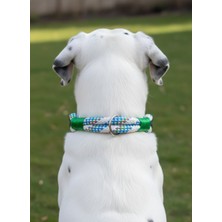 Balkonda Köpek Boyun Tasması Ayarlanabilir Küçük, Orta ve Büyük Irk İskoto Halat & Deri